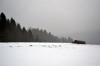 139 Szczawnica 28.02 - 01.03.2015 r.